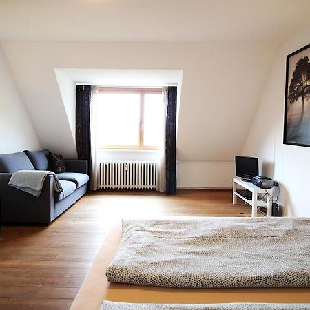 Zentrale Stadtwohnung - Direkt Am Main, Park-Ausblick Würzburg Eksteriør billede