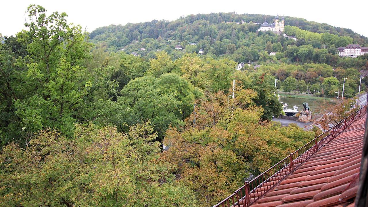 Zentrale Stadtwohnung - Direkt Am Main, Park-Ausblick Würzburg Eksteriør billede